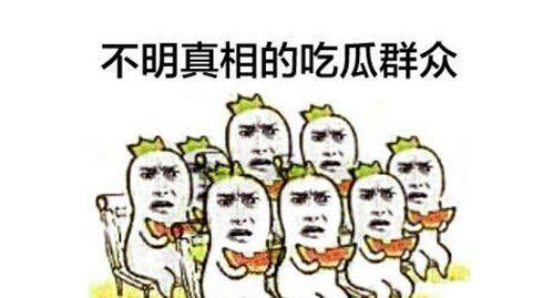吃瓜群众  朝阳群众,揭秘都市生活里的民间力量”