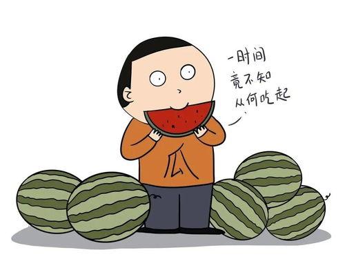 不会吃瓜英语,为何“不会吃瓜”成为流行语背后的文化现象