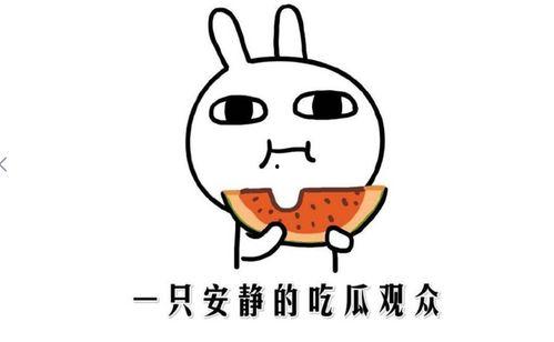 吃瓜群众的手段,网络舆论场中的“侦探”与“法官”