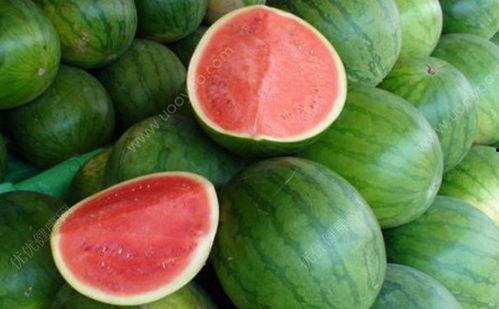 发烧可以吃华瓜吗,华瓜能否成为食疗佳选？