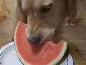 吃瓜小小怪,揭秘娱乐圈幕后那些事儿