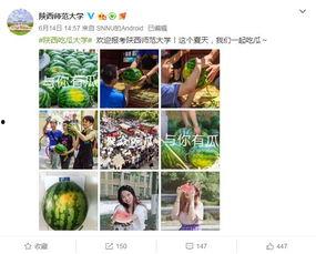 陕西师范吃瓜,揭秘背后的校园风云