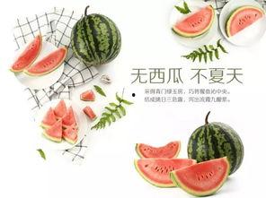 吃瓜活动宣传抽象,一场味蕾与文化的碰撞之旅