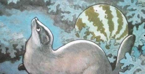 猹吃瓜的图,揭秘动物界的“美食侦探”