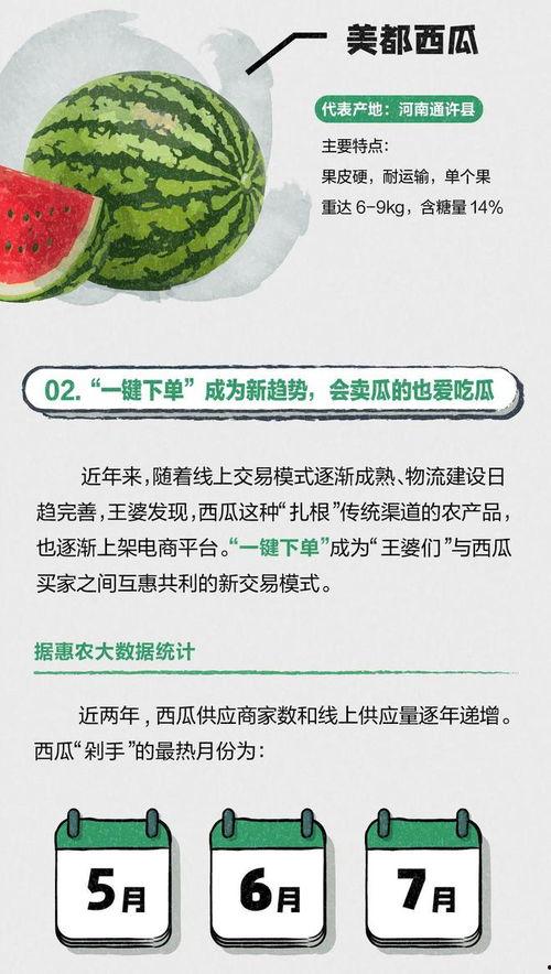 吃瓜大赛最新网站,最新网站盘点热门瓜事