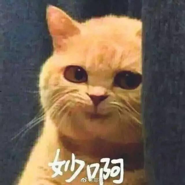 吃瓜姐猩猩,揭秘娱乐圈背后的那些事儿
