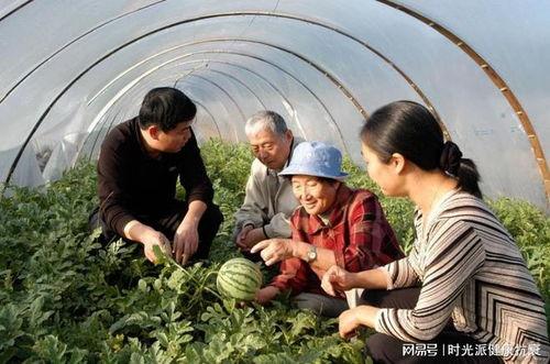 牛夫人吃瓜,揭秘娱乐圈的八卦风云