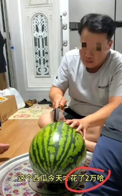 网友吃瓜能力,网络舆论场上的“侦探”们