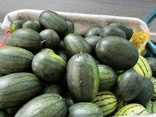 吃朋友的瓜好吗,吃朋友的瓜，品味明星幕后故事