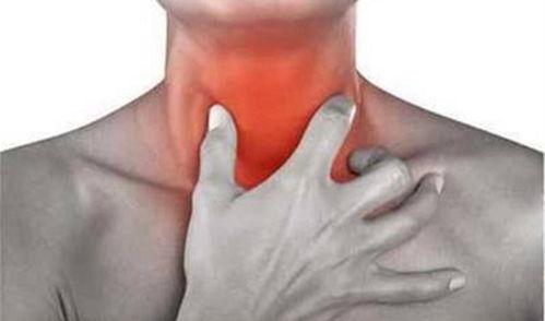 吃小白瓜喉咙痛,揭秘夏日清凉美食的潜在风险