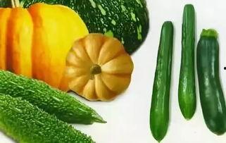 瓜吃太多怎么形容,如何应对过量食用瓜果的困扰