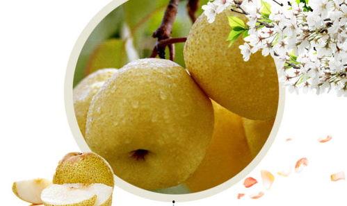 女人吃酥瓜好吗,女性养生的美味选择